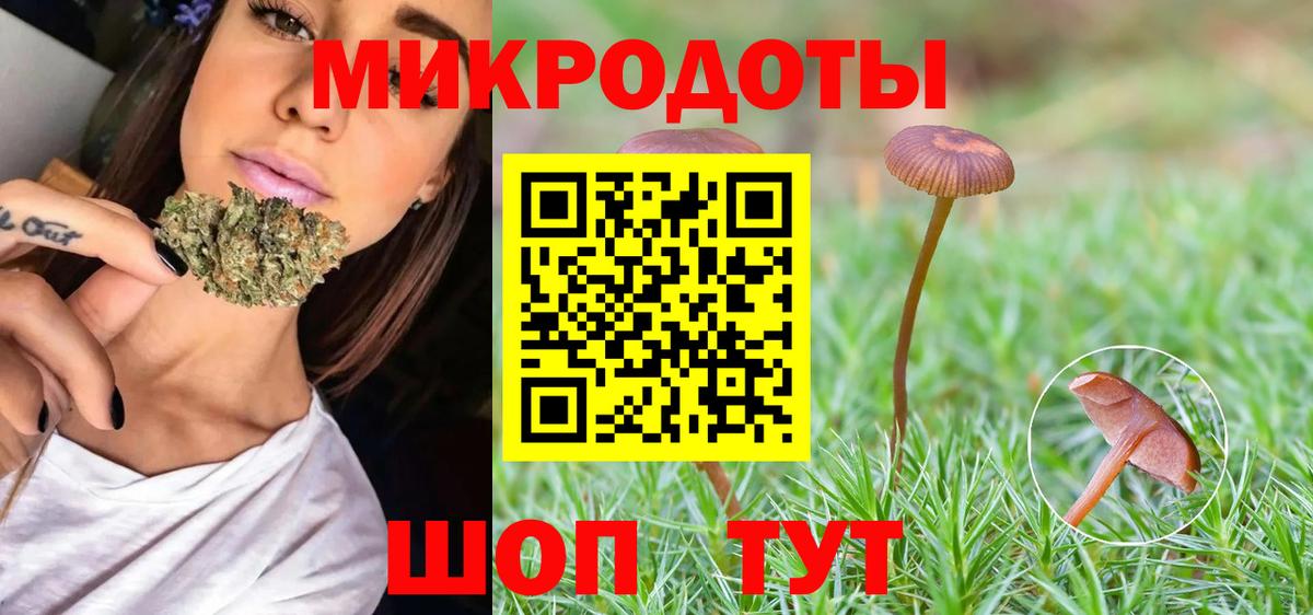 Псилоцибиновые грибы Psilocybine cubensis  Вход с VPN  Златоуст  Галлюциногенные грибы MAGIC MUSHROOMS 